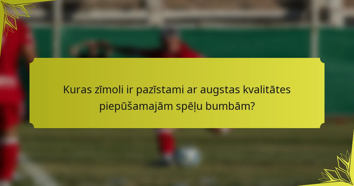 Kuras zīmoli ir pazīstami ar augstas kvalitātes piepūšamajām spēļu bumbām?