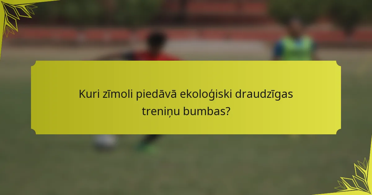 Kuri zīmoli piedāvā ekoloģiski draudzīgas treniņu bumbas?
